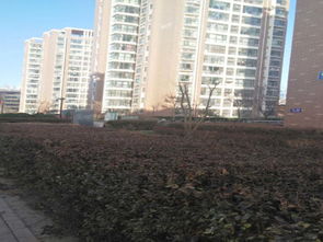 名界房产怎么样