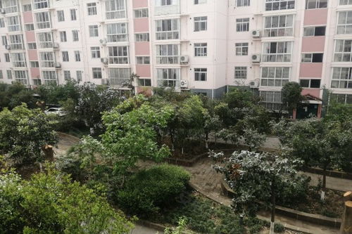 鑫居房产怎么样