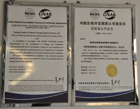 做房产视频号怎么认证