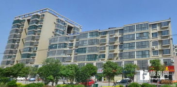 滕州旋风房产怎么样