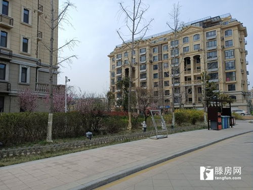 滕州旋风房产怎么样