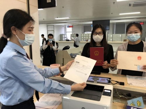 房产是否过户成功怎么查