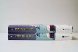 房产推销的台词怎么写