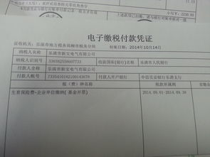 怎么查房产交的税金