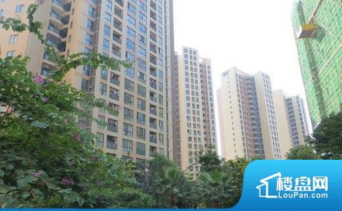 南宁俊杰房产怎么样 南宁俊杰房产怎么样