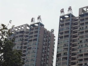 南宁俊杰房产怎么样 南宁俊杰房产怎么样