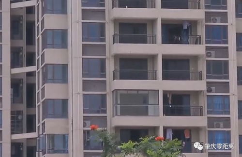 肇庆市房产怎么查询