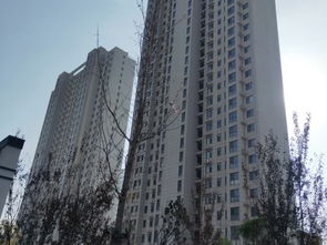 辽宁中天房产怎么样