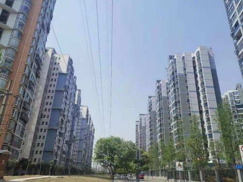 临沭城南房产怎么样