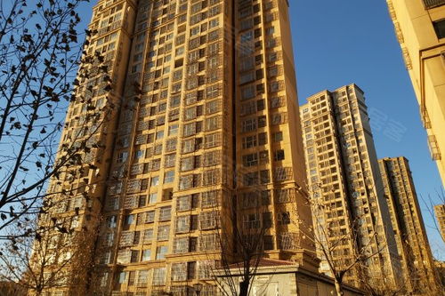 龙傲房产怎么样 龙傲房产怎么样