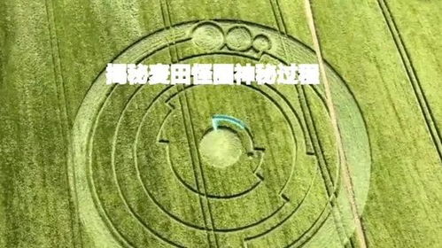 麦田房产抽成怎么算的