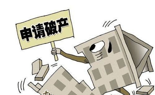 房产大拿破产怎么办