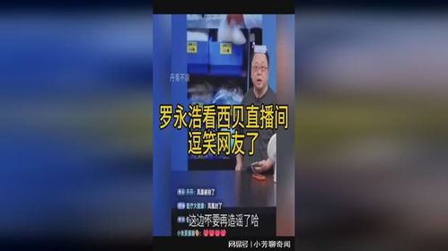 人海房产直播间怎么进