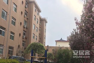 临泉康乐房产怎么样