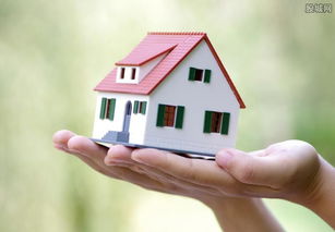 拥有过多房产怎么处理