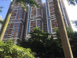 瑞安阿贵房产怎么样