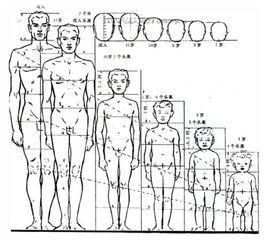 房产比例划分图怎么画