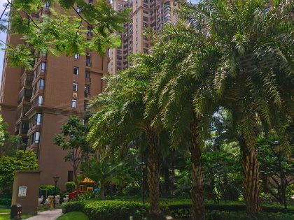 鼎盛房产经理怎么样