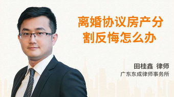 房产老总离婚怎么办