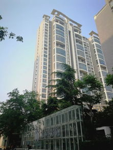 房产黄金五秒怎么拍