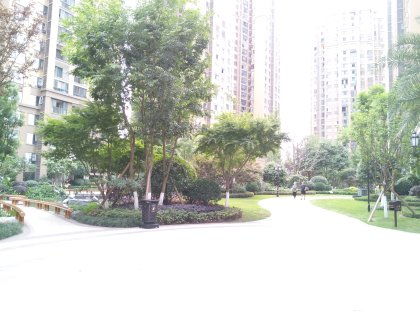 泰兴银杏房产怎么样