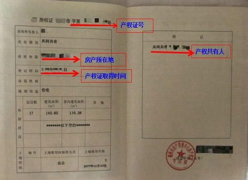 房产权证怎么填