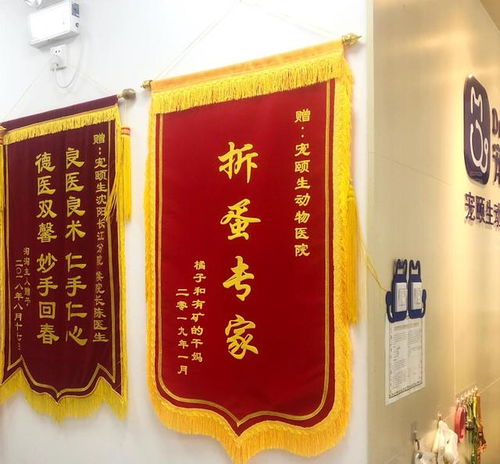 房产开业锦旗内容怎么写