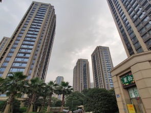 滨江房产平价怎么样