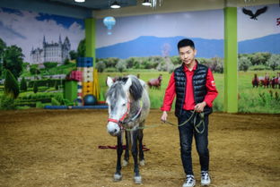 马爸爸怎么说房产