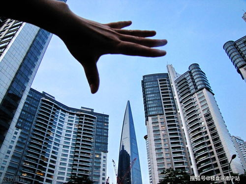 房产发展眼光怎么写简介