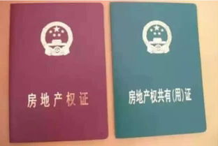 宝宝房产证怎么拍