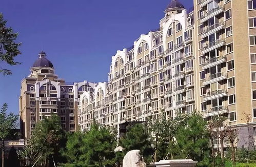 房产看房过程怎么写 房产看房过程怎么写