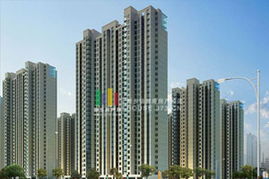 房产看房过程怎么写 房产看房过程怎么写