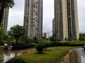 仙居 华夏房产怎么样