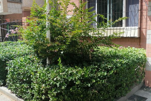 香港避暑房产怎么样