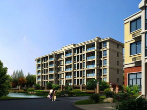 房产博主怎么立人设