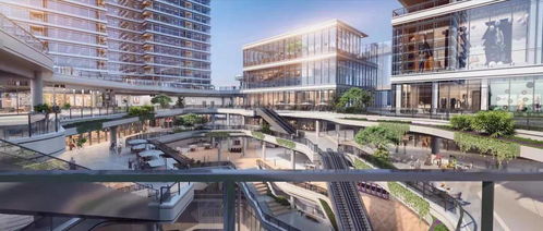 房产博主怎么立人设