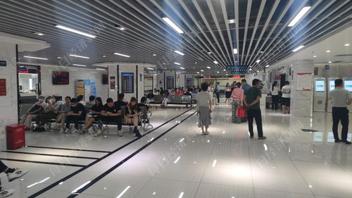 深圳双拼房怎么处置房产