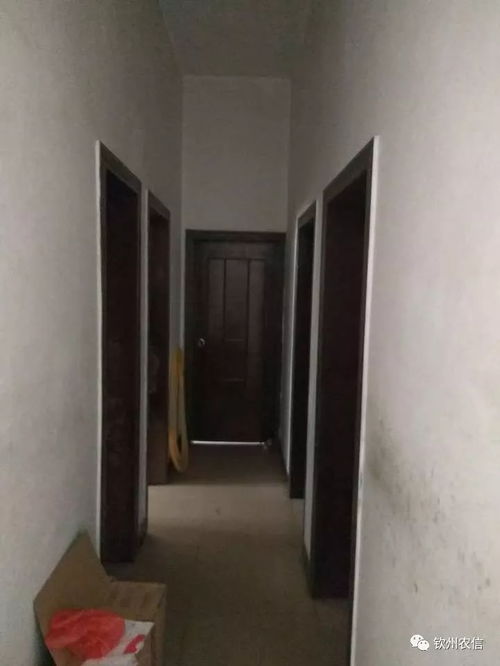 老板多处房产怎么处理好