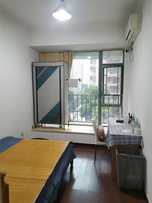 房东租房怎么算违规房产