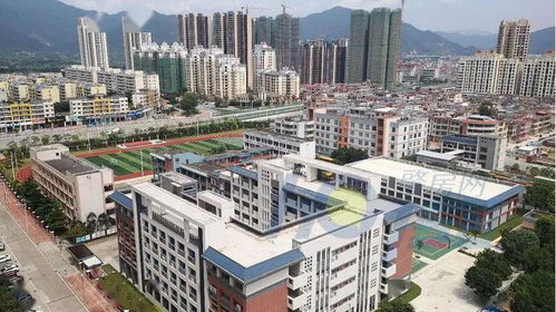 肇庆市房产怎么查