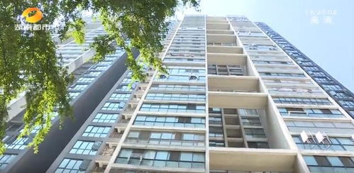 法院怎么查全国房产