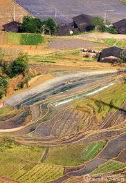 梯田房产圈怎么样