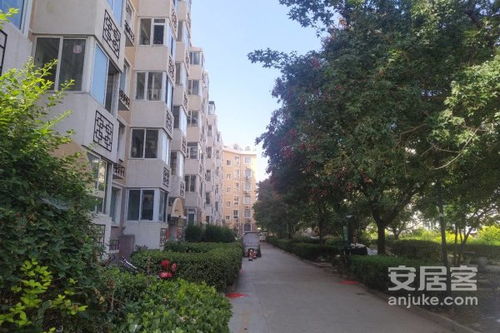 顺园房产怎么样