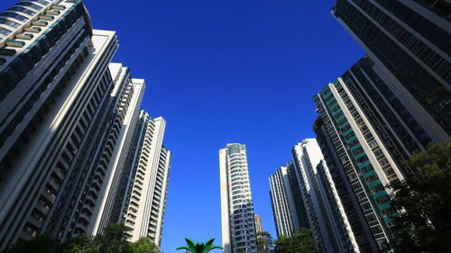 郑翔洲房产怎么买