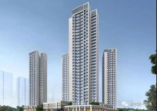 房产商业配套怎么介绍