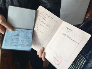 怎么查询房产下户口情况