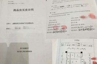 房产赠与书名称怎么写