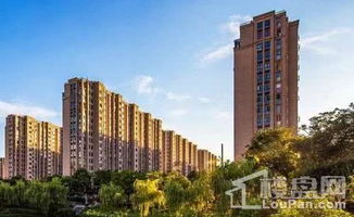 哈尔滨房产税怎么交