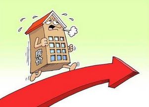 房产首付亏掉了怎么处理